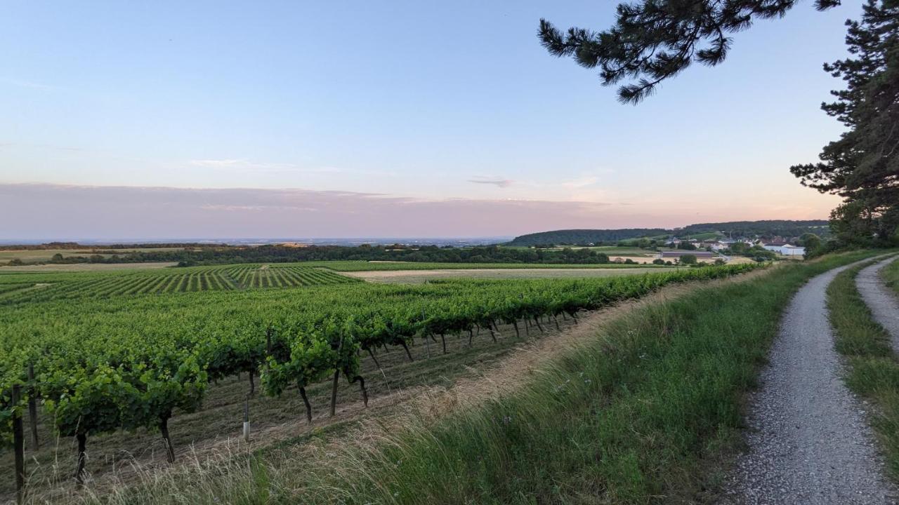 Les Gites De Cour Remond Villers-la-Faye Exteriér fotografie